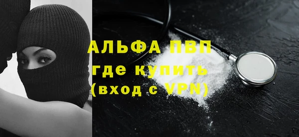 стаф Балахна