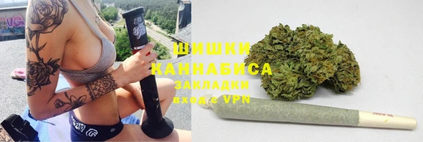 стаф Балахна