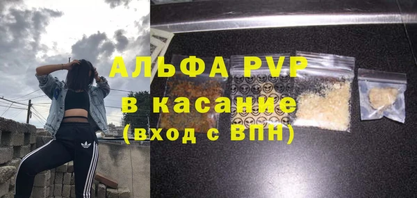 стаф Балахна