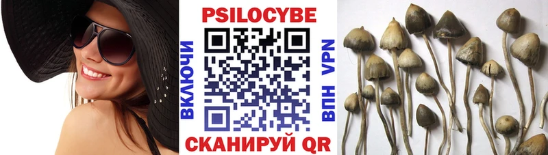 Псилоцибиновые грибы мицелий  Певек 