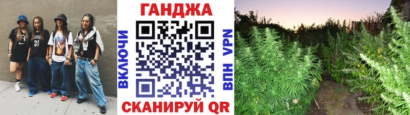 Конопля гибрид  Певек 
